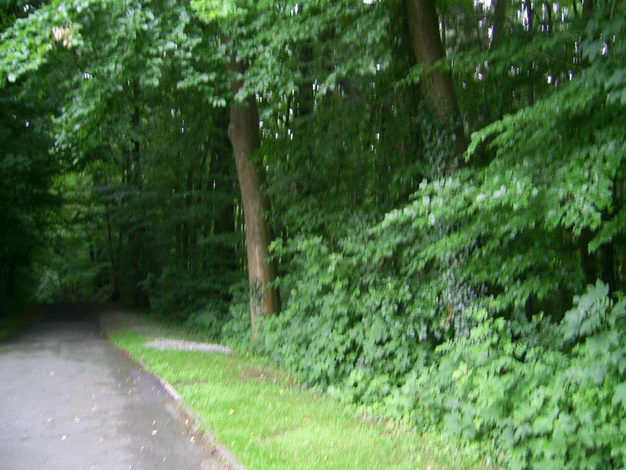 Waldpension Bielefeld Eksteriør bilde