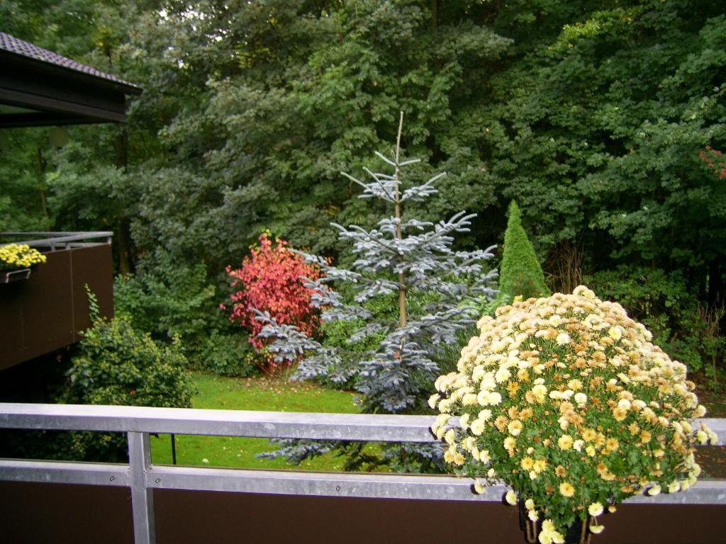 Waldpension Bielefeld Eksteriør bilde
